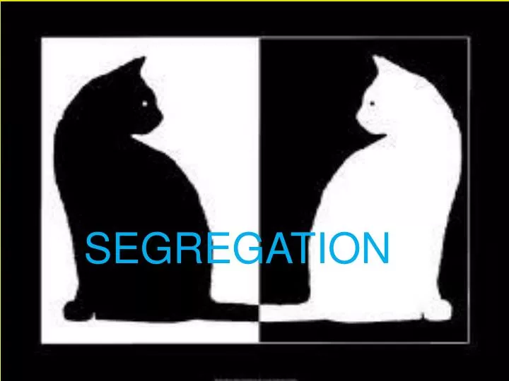 segregation n.