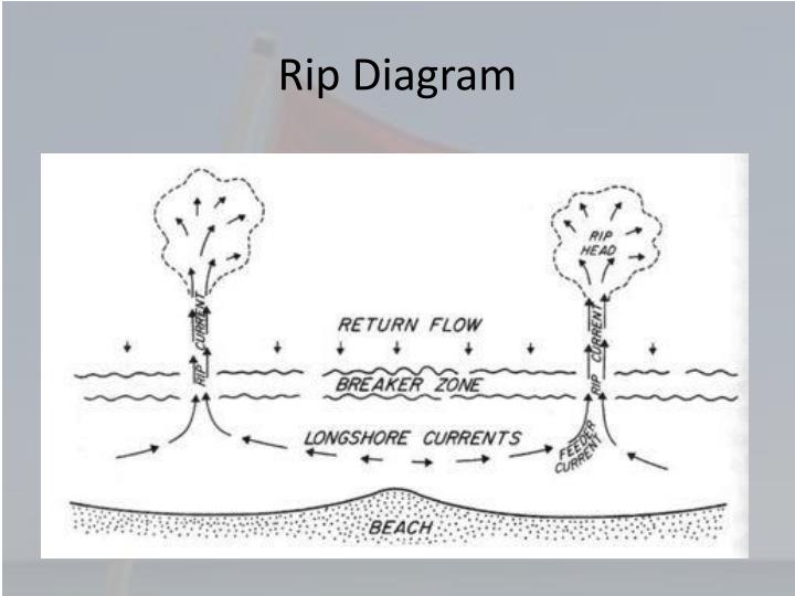 PPT - Beach Safety PowerPoint Presentation - ID:2345329