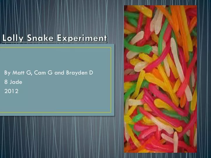 lolly snake experiment n.