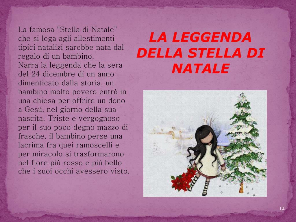 La Storia Della Stella Di Natale.Ppt Le Piante Del Natale Powerpoint Presentation Free Download Id 2345856