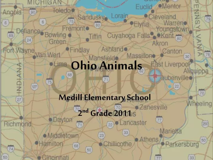 PPT Ohio Animals PowerPoint Presentation, free download ID2346587