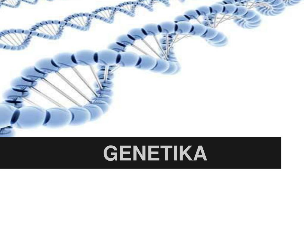 Генетика в числах. Генетика асослари. Умумий генетика. Генетика нима дегани. Печать генетика.