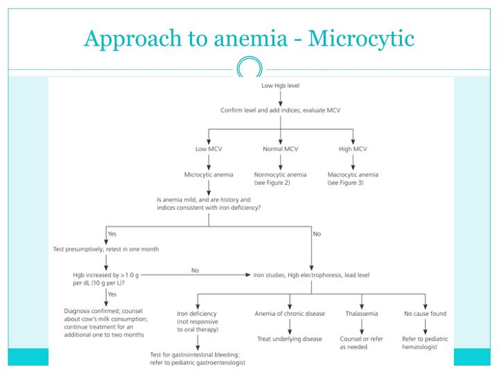 PPT - Child with anemia PowerPoint Presentation - ID:2347771