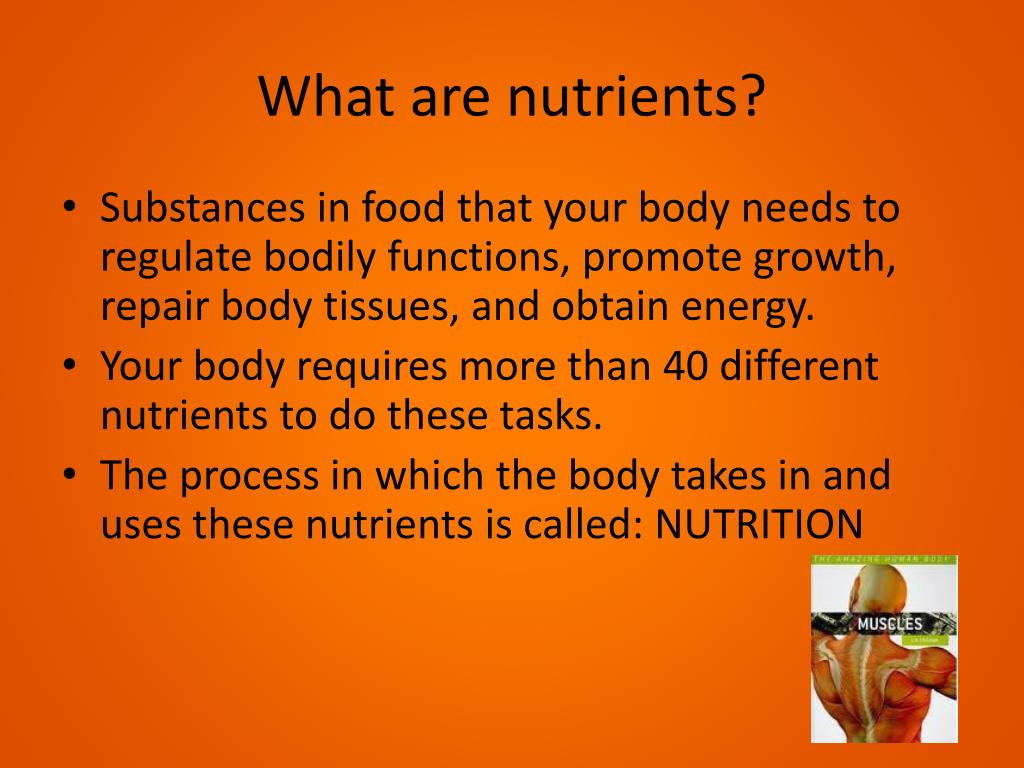 PPT - Nutrition PowerPoint Presentation, free download - ID:2348401