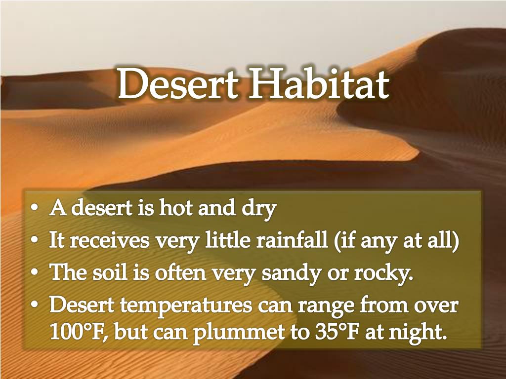 presentation on desert habitat