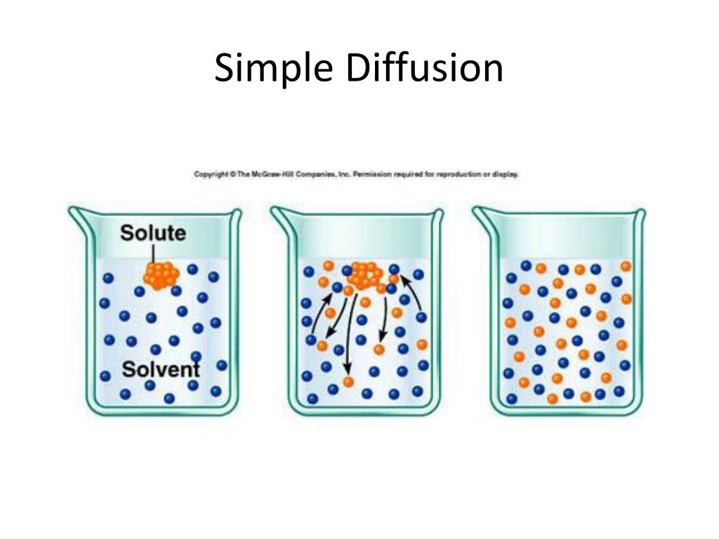 PPT Simple Diffusion PowerPoint Presentation, free download ID2349531