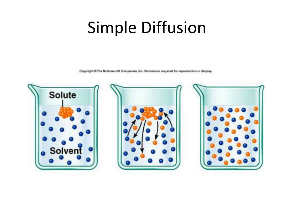 Simple Diffusion Drawing