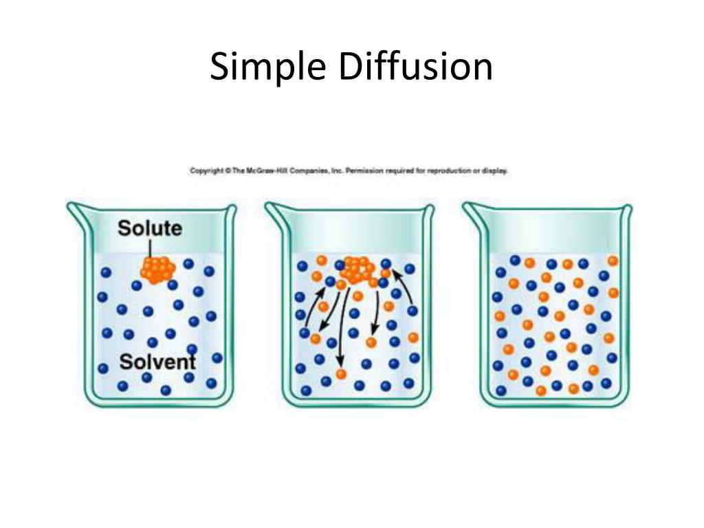 What Is Diffusion Models Image To U