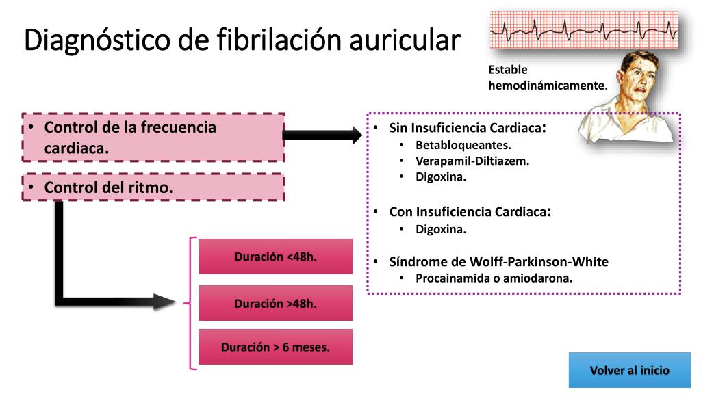 PPT - Algoritmo De Tratamiento De La Fibrilación Auricular PowerPoint ...