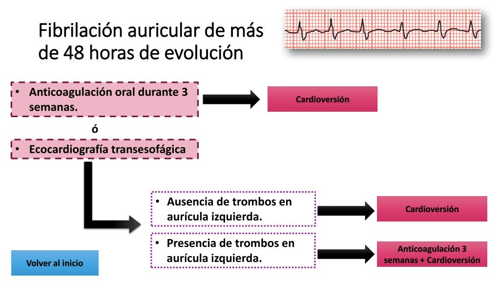 Ppt Algoritmo De Tratamiento De La Fibrilación Auricular Powerpoint Presentation Id 2349650