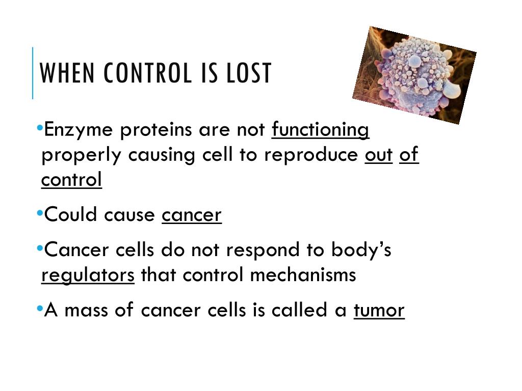 Ppt Cell Reproduction Powerpoint Presentation Free Download Id 2350167