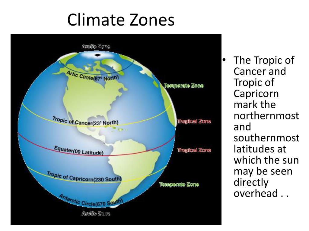 temperate zone presentation