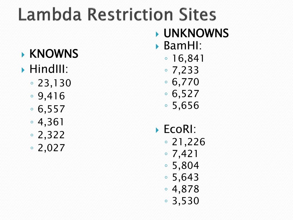 PPT GEL ELECTROPHORESIS PowerPoint Presentation, free download ID