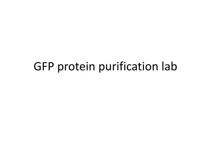 gfp protein purification lab n.
