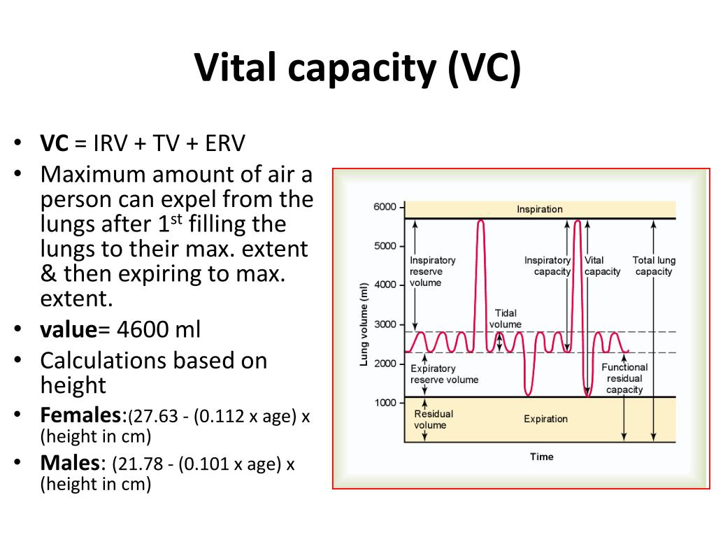 ppt-lung-volumes-lung-capacities-powerpoint-presentation-free-download-id-2352295