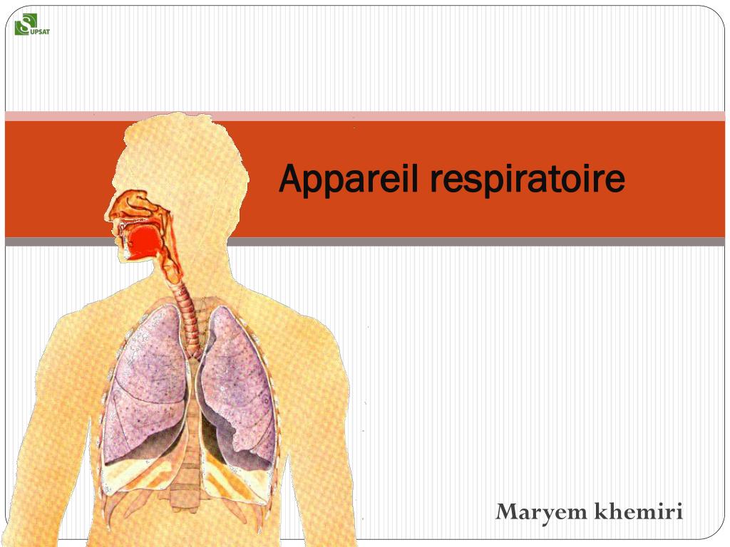 8 : Anatomie de l'appareil respiratoire.