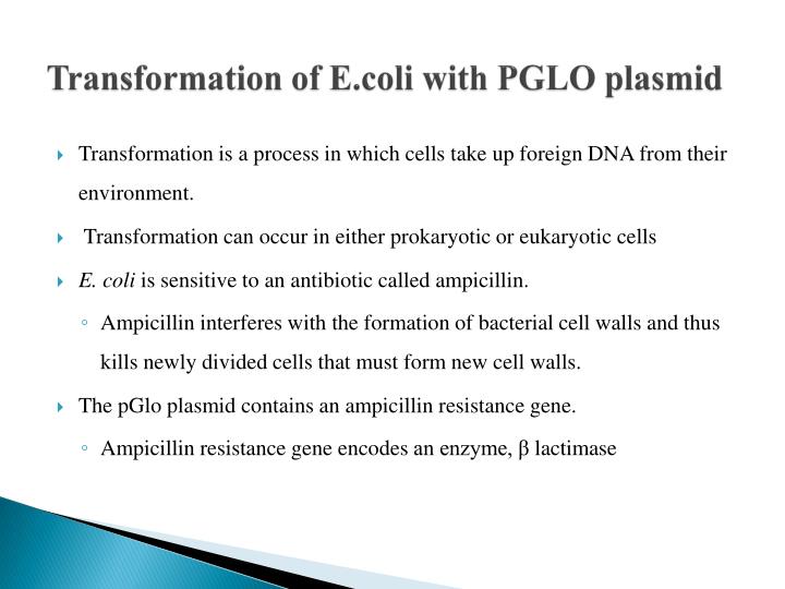 e coli genetic transformation with pglo plasmid essay e coli genetic transformation with pglo plasmid essay