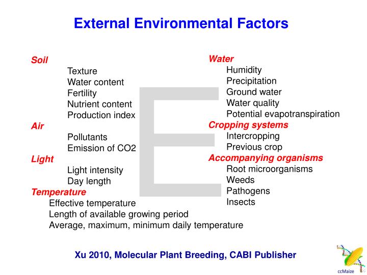 molecular plant breeding yunbi xu