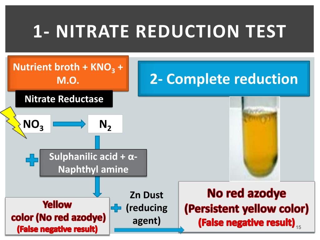 PPT Practical Medical Microbiology PowerPoint Presentation, free PPT Practical Medical Microbiology PowerPoint Presentation, free