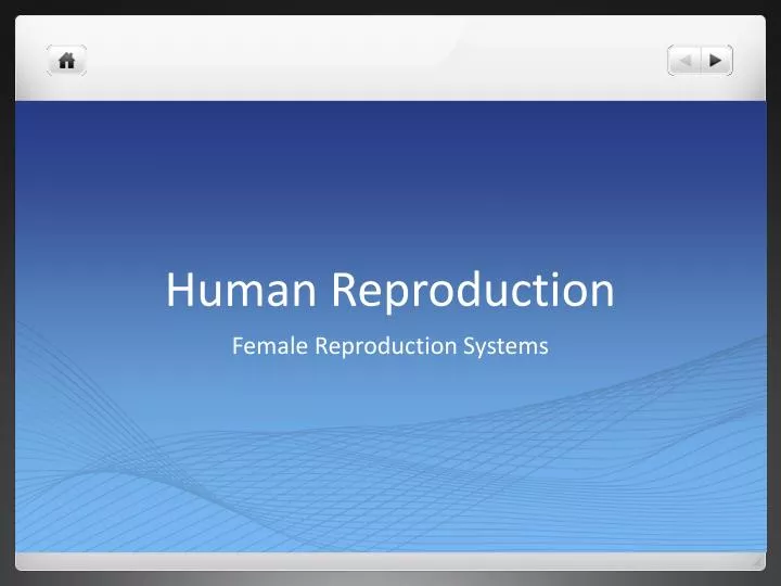 Ppt Human Reproduction Powerpoint Presentation Free Download Id