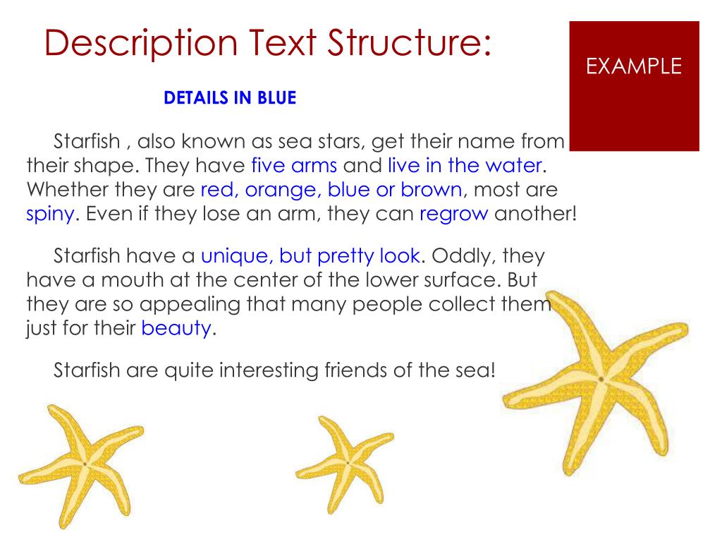 PPT Text Structure PowerPoint Presentation Free Download ID 2355227 ppt-text-structure-powerpoint-presentation-free-download-id-2355227