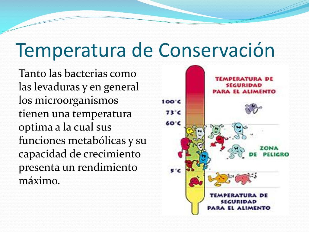 PPT Factores Extr nsecos Que Afectan El Crecimiento Microbiol gico PPT Factores Extr nsecos Que Afectan El Crecimiento Microbiol gico