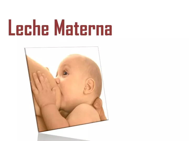 PPT - Leche Materna PowerPoint Presentation, free download - ID:2356891