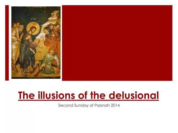 the illusions of the delusional n.