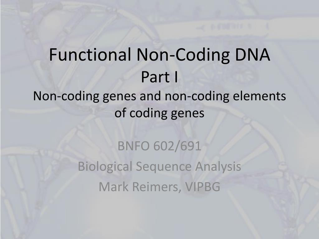 Ppt functional non coding dna part i non coding genes and non coding