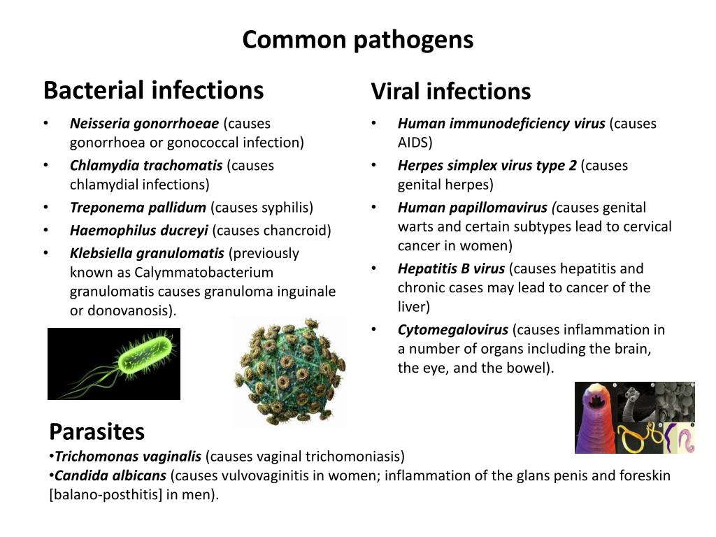 PPT - Sexually Transmitted Diseases and HIV/AIDS PowerPoint ...