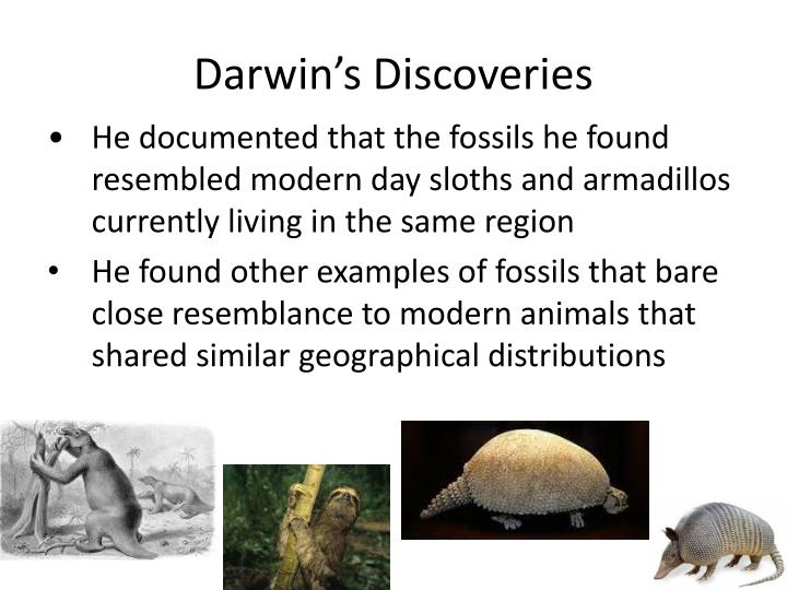 PPT Evolution PowerPoint Presentation ID2357769