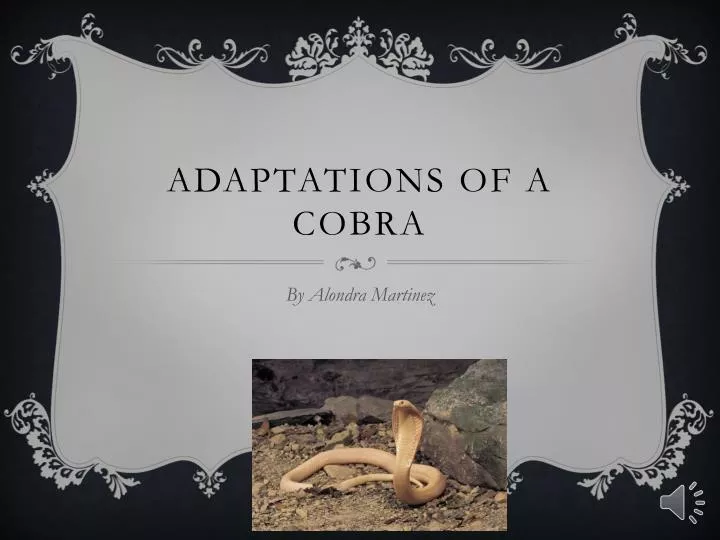 adaptations o f a cobra n.