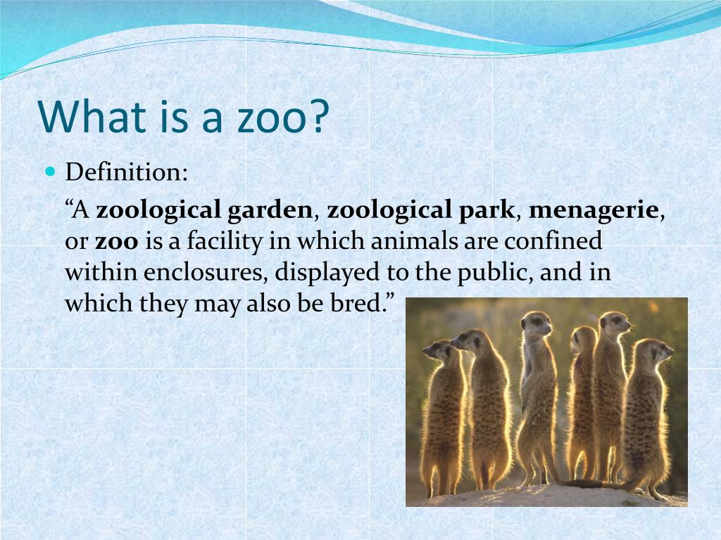 thesis about zoos