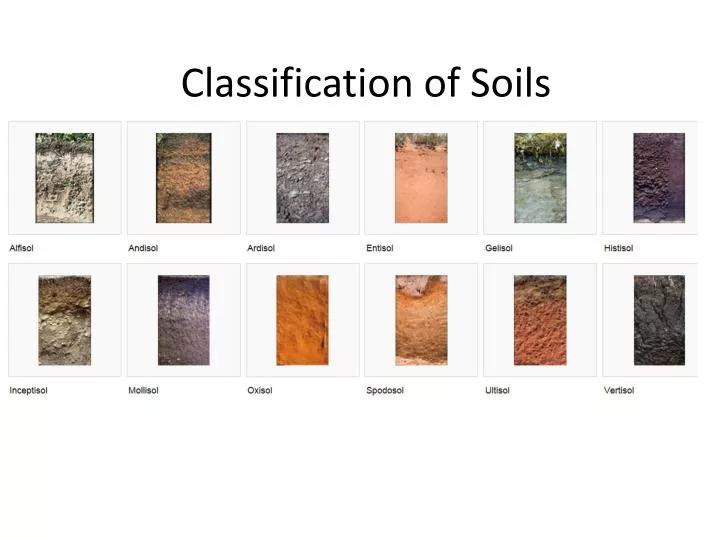 presentation of types of soils