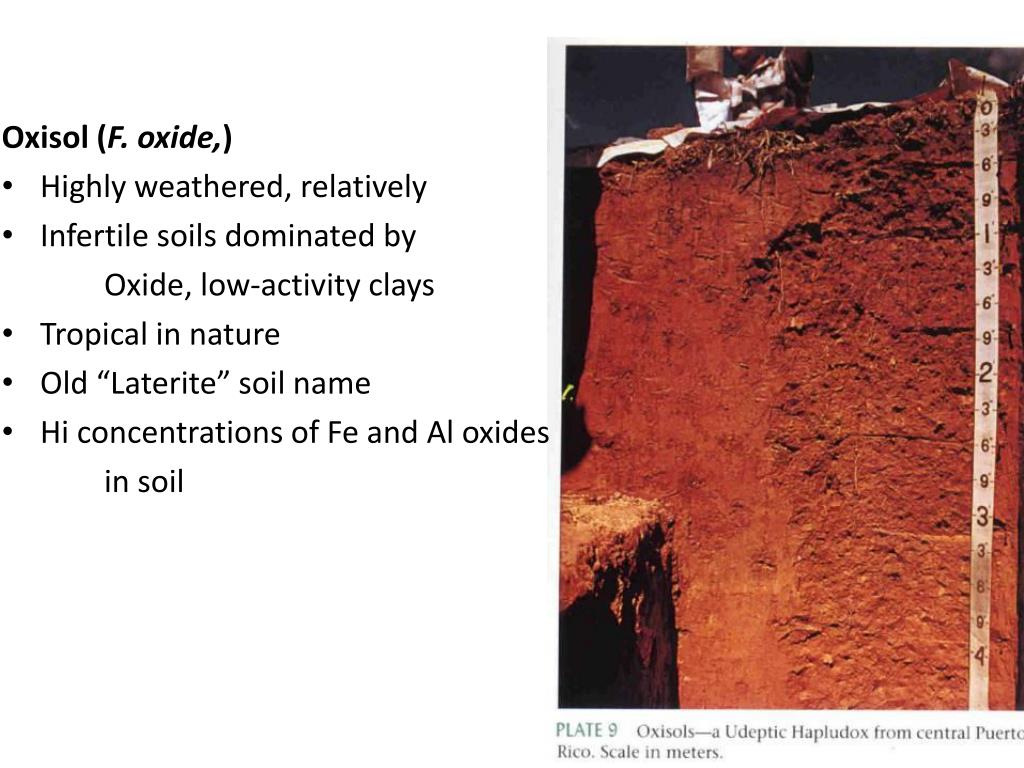 PPT Classification Of Soils PowerPoint Presentation Free Download 