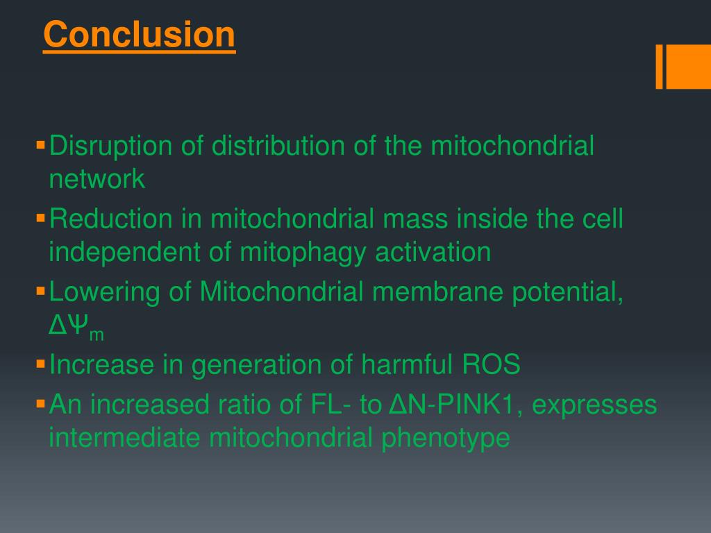 PPT - PINK1 cleavage at position A103 by the mitochondrial protease ...