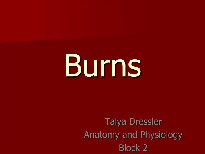 Ppt Burns Powerpoint Presentation Free Download Id 2358828