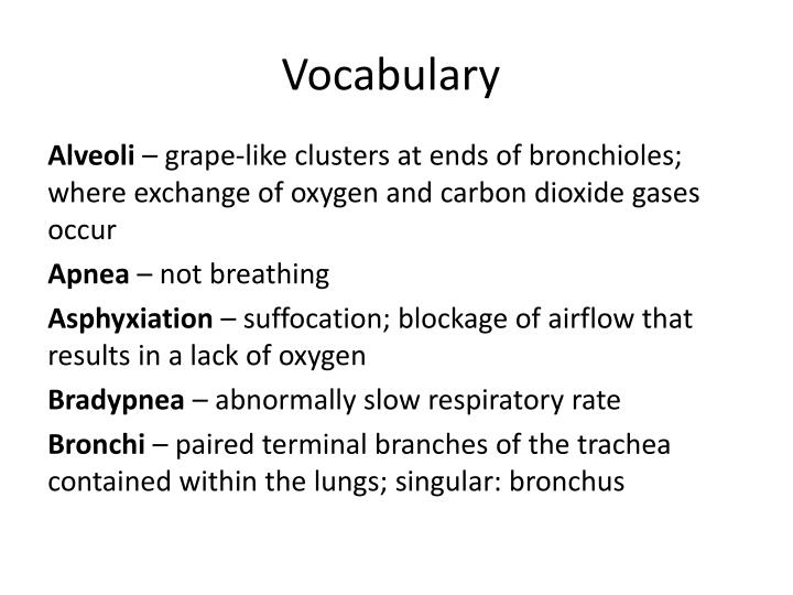 PPT - Unit 3: Anatomy & Physiology PowerPoint Presentation - ID:2359862