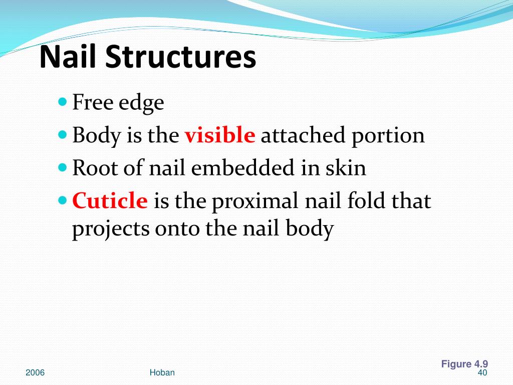 PDF) Comparative study between nail retraining with gauze bandaging and the  nail remodeling with acrylics as a conservative treatment for stage I and  IIa onychocryptosis