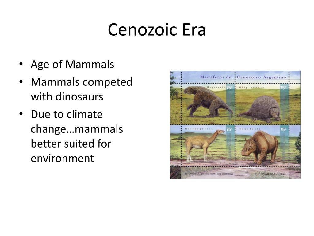 PPT - Chapter 5 and 6 Evolution of Living Things & History of Life on ...