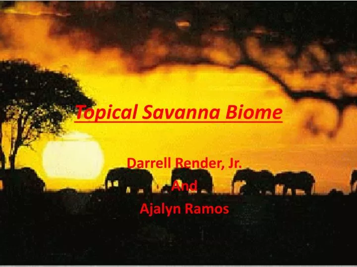 topical savanna biome n.