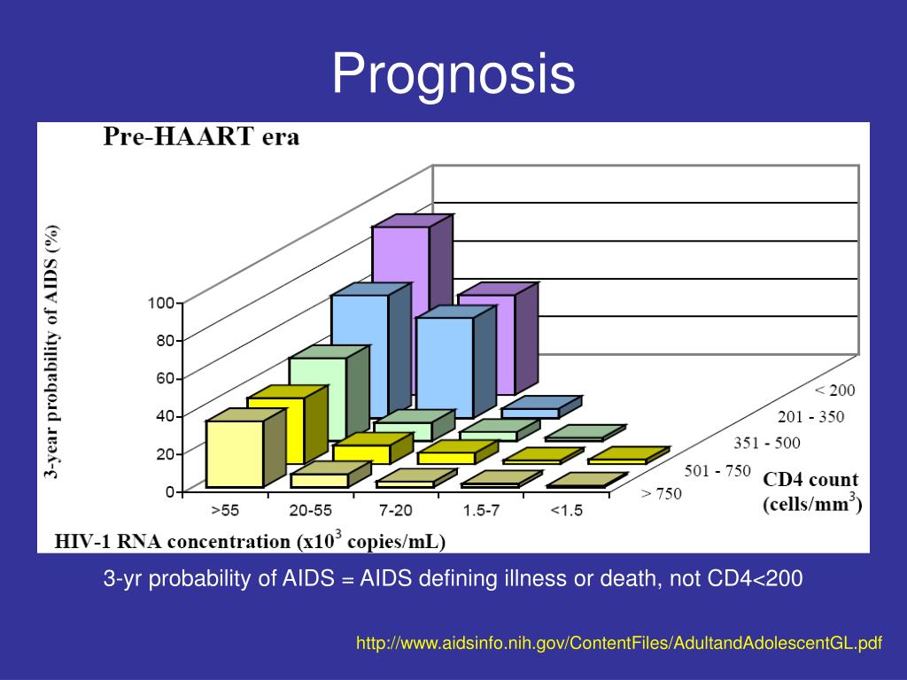 PPT - HIV / AIDS & Opportunistic Infections PowerPoint Presentation ...