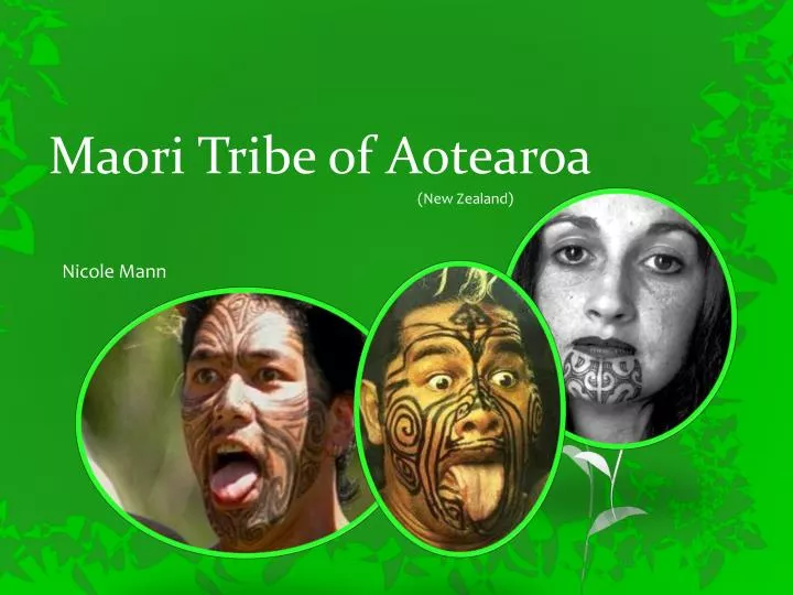 maori tribe of aotearoa n.