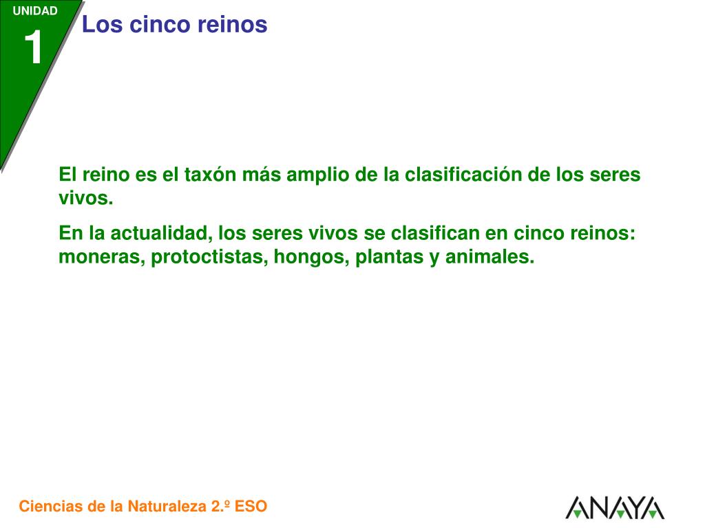 PPT - El reino es el taxón más amplio de la clasificación de los seres  vivos. PowerPoint Presentation - ID:2361738