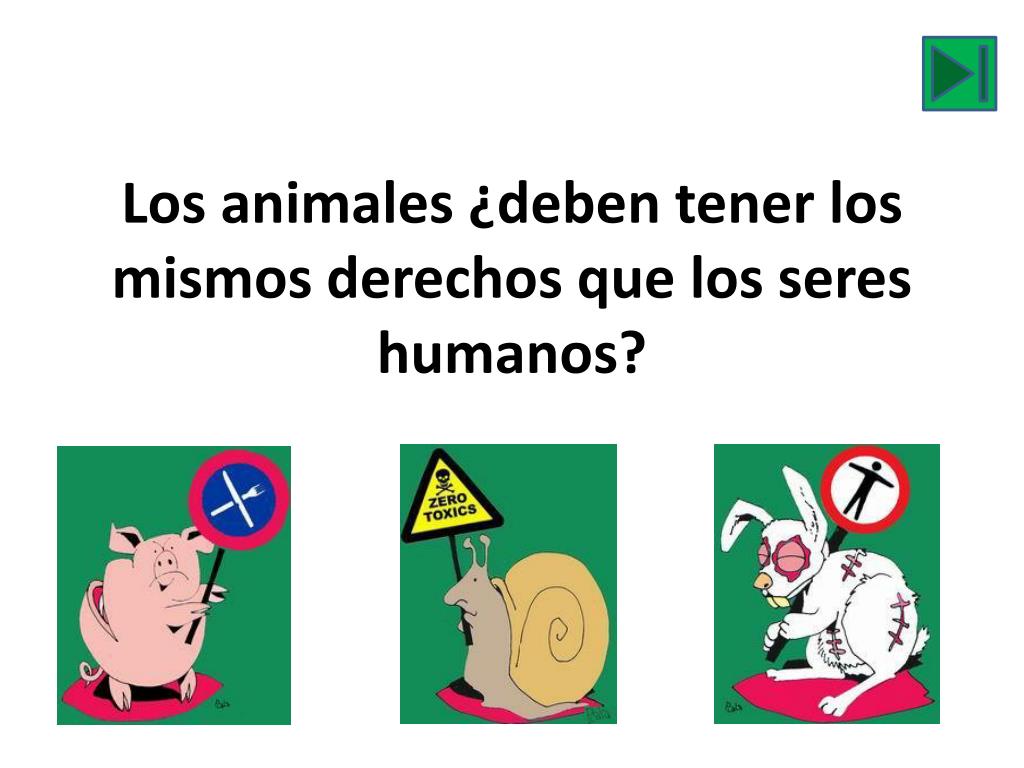 PPT - Los animales ¿ deben tener los mismos derechos que los seres humanos  ? PowerPoint Presentation - ID:2361969