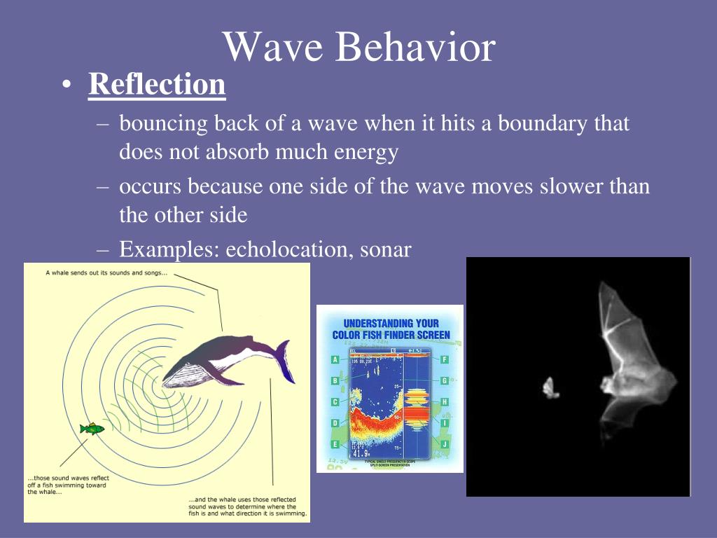 Ppt Wave Behavior Powerpoint Presentation Free Download Id2362244
