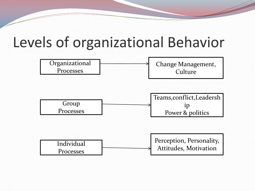 Organization definition