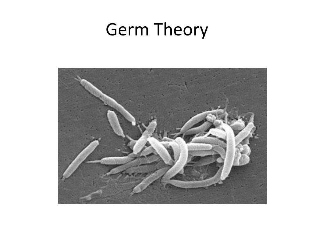 Germs перевод. Germ Theory.