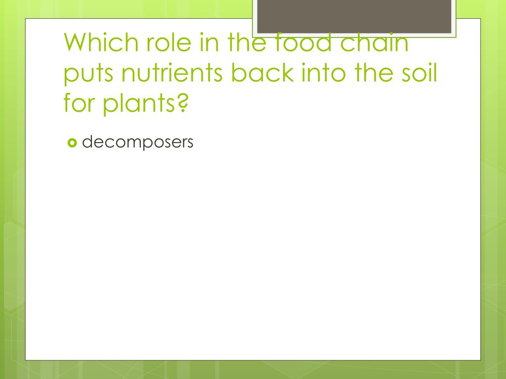 Food Chains and Webs PowerPoint Presentation, free download Biology Diagrams