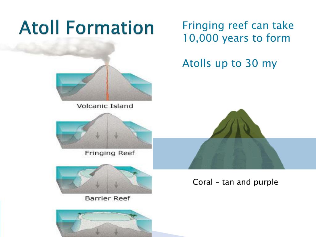 PPT - Coral Reefs and Lagoons PowerPoint Presentation, free download ...
